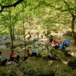 Pesenbachtal_20