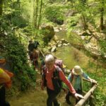 Pesenbachtal_37